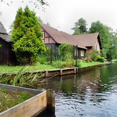 万博手机版max网页版狼队